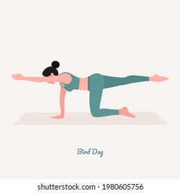 Bird Dog Yoga pose. Young woman practicing yoga  exercise. Woman workout fitness, aerobic and exercises. Vector Illustration.