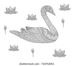Bird doodle coloring book. Swan and lotus flowers isolated on white.