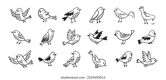 Conjunto de doodle de pájaro. Colección dibujada a mano de pájaros. Lindos garabatos de pájaro dibujados a mano. Dibujo negro sobre blanco. Ilustración vectorial