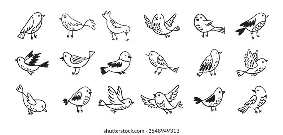 Conjunto de doodle de pájaro. Colección dibujada a mano de pájaros. Lindos garabatos de pájaro dibujados a mano. Dibujo negro sobre blanco. Ilustración vectorial