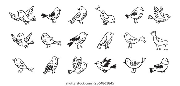 Bird doodle set. Birds hand drawn collection. Cute hand drawn bird doodles. Black on white drawing. Vector illustration