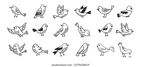 Bird doodle set. Birds hand drawn collection. Cute hand drawn bird doodles. Black on white drawing. Vector illustration