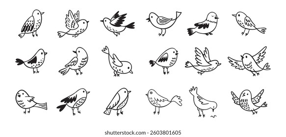 Bird doodle set. Birds hand drawn collection. Cute hand drawn bird doodles. Black on white drawing. Vector illustration