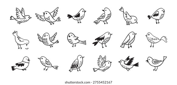 Bird doodle set. Birds hand drawn collection. Cute hand drawn bird doodles. Black on white drawing. Vector illustration