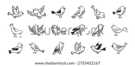 Bird doodle set. Birds hand drawn collection. Cute hand drawn bird doodles. Black on white drawing. Vector illustration