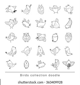 Bird doodle set. vector illustration.