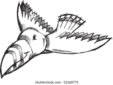  Bird Doodle Sketch Vector Illustration