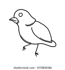 Bird Doodle vector icon. Drawing sketch illustration hand drawn cartoon line.