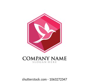 bird dove flying vector logo design template