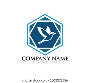 bird dove flying vector logo design template