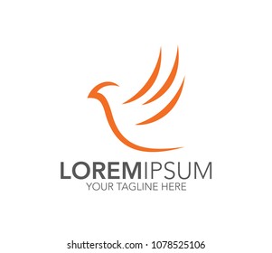 Bird dove logo design. Hummingbird logo vector