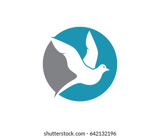Bird Dove Logo Template