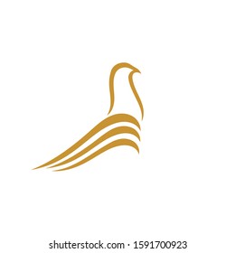 Bird Dove Logo Template vector illustration