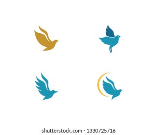 Bird Dove Logo Vector Template