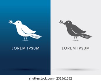 Bird , Dove with olive logo vector.