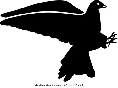 bird dove wedding animal fly spring pet peace 10067