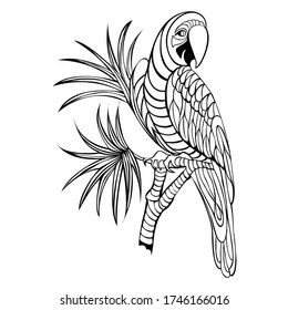 Bird , drawing, vector, illustration, coloring book, line art, zentangle, animal, Bird hand draw, black and white pencil vector lllustation on white background