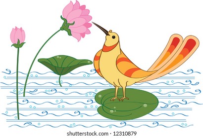 Bird is drinking nectar (sugar water) from Lotus flower in pond.