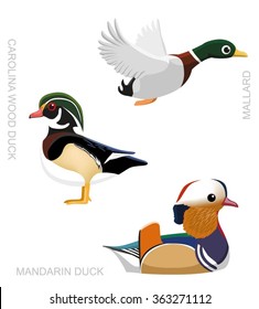 Bird Duck Set Cartoon Vector 