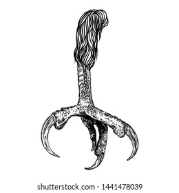 Bird eagle feet, stylized drawing. Decorative drawn crow foot. Hawk leg totem, magic spells supplies. Black and white drawing by hand. Witchcraft ritual, voodoo, attribute. Illustration for Halloween.
