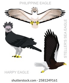 Bird Eagle Harpy Philippine Set Cartoon Vector