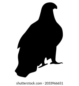 Bird, eagle, hawk, animal, wildlife, vector, illustration, in black and white color, isolated on white background