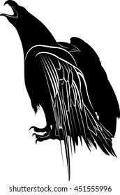 bird eagle isolated on white background