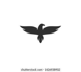 Bird eagle logo vector design 
