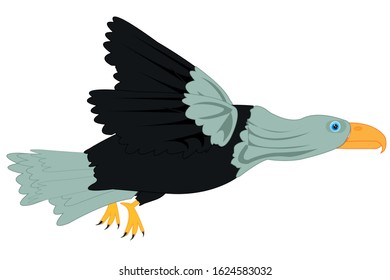 Bird eagle on white background is insulated