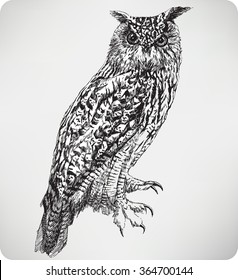 Bird Eagle Owl, hand drawing, vector illustration.