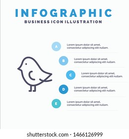 Bird, Easter, Nature Line icon with 5 steps presentation infographics Background. Vector Icon Template background