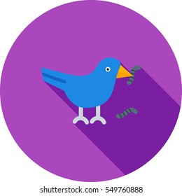 Bird Eating Worm
