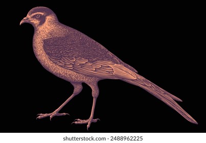 Bird. Editable hand drawn illustration. Vector vintage engraving. Isolated on black background. 8 EPS