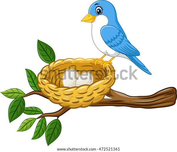 Bird Egg Nest Isolated On White Stock Vector (Royalty Free) 472521361