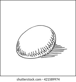 bird egg vector drawing illustration,  in hand drawn sketch style