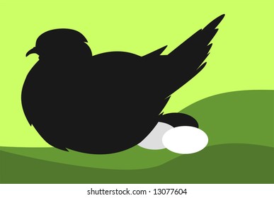  bird with eggs in green background	