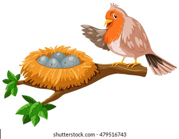 Bird and the eggs in the nest illustration