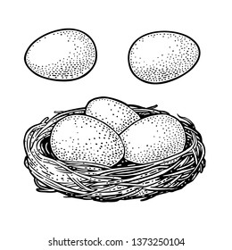 Bird eggs in the nest. Vector black vintage engraving illustration. Isolated on white background. Hand drawn design element for poster Happy Easter