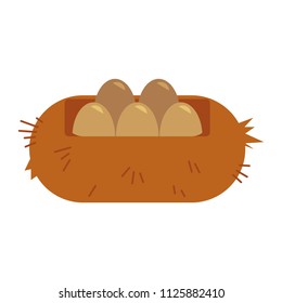 Bird eggs in straw nest - fresh organic and eco-friendly healthy food concept in flat vector illustration. Farm and agricultural graphic element isolated on white background.