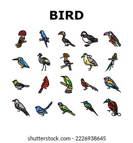 bird exotic animal nature wild icons set vector. tropical wildlife, blue green jungle, beautiful parrot, colorful wing, flower bird exotic animal nature wild color line illustrations