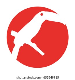 bird exotic toucan isolated icon