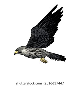 Falcão de pássaro, falconary pregrinus super rápido voando ícone de logotipo design de modelo 