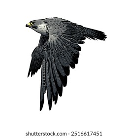 Falcão de pássaro, falconary pregrinus super rápido voando ícone de logotipo design de modelo 