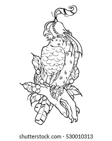 Bird falcon, hand drawing, vector illustration isolated on white background.