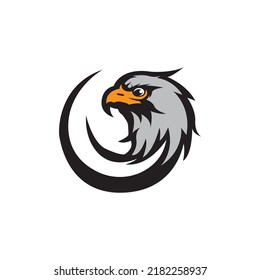 Bird falcon and  logo design, eagle or hawk badge emblem vector icon illustration
