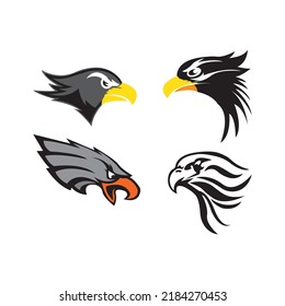 Bird falcon and  logo design, eagle or hawk badge emblem vector icon illustration