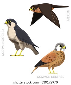 Bird Falcon Set Cartoon Vector Illustration