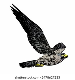 Bird Falcon vector design super fast flying logo template 