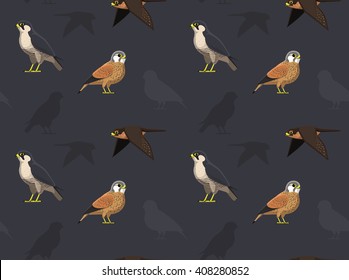 Bird Falcon Wallpaper