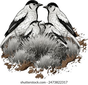 Bird family graphic element Bird  nest vector illustration